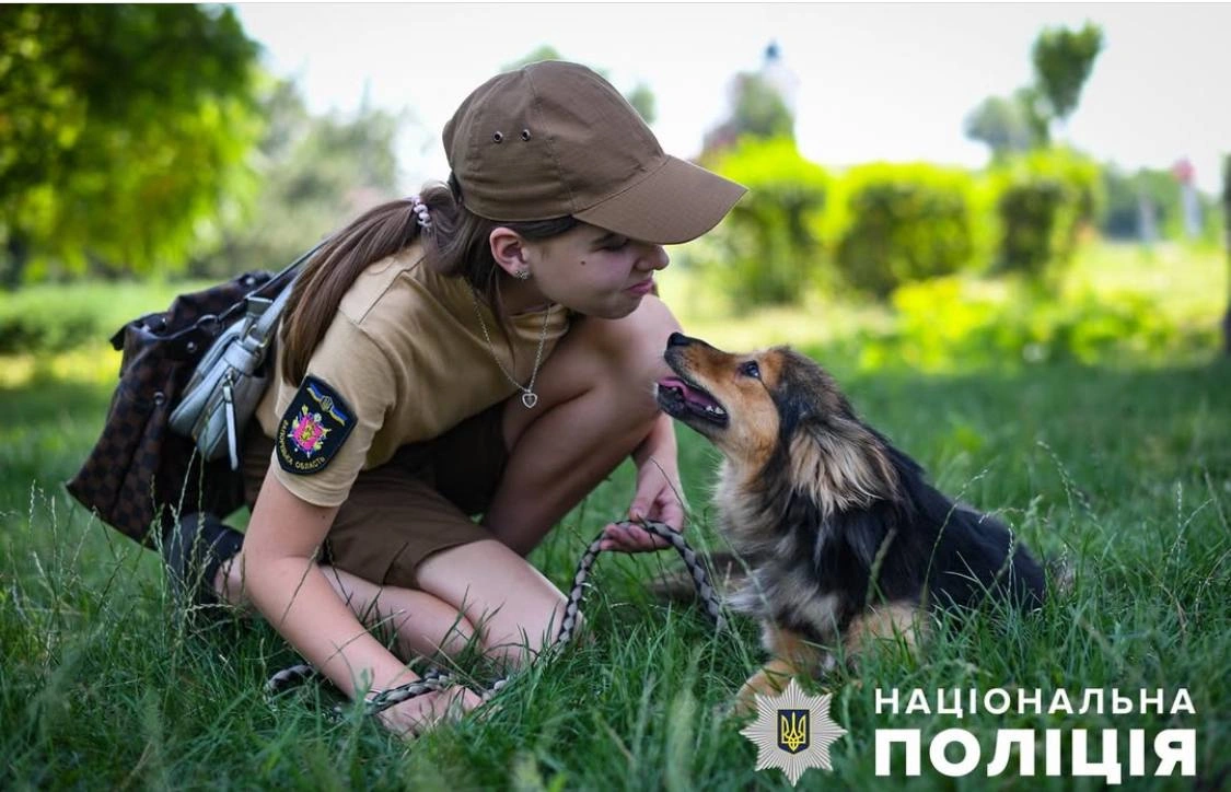 Зооволонтерство